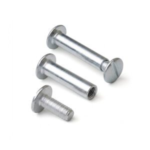 Binding Posts