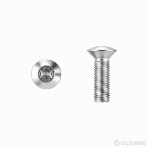Torx Oval Head Machine Crew ISO 14584